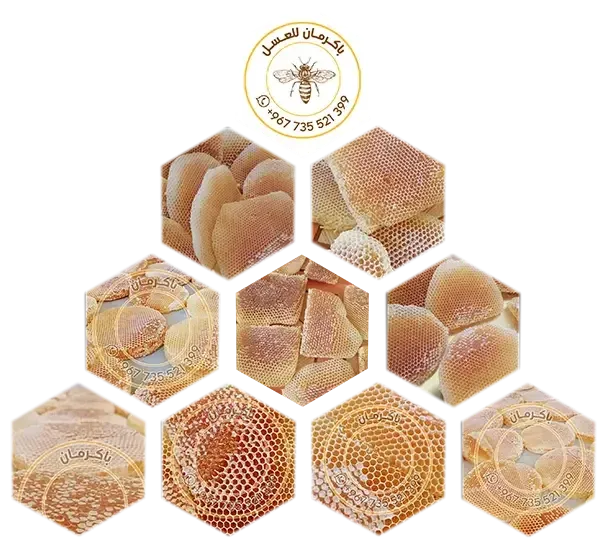 Logo of باكرمان للعسل في حضرموت