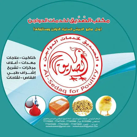 Logo of الصادق لاستيراد الدواجن واللحوم